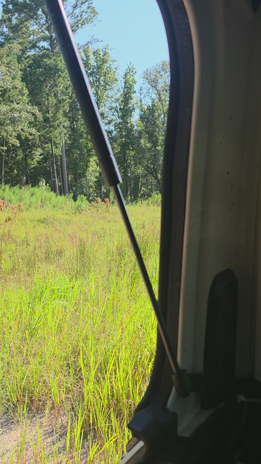 Rear Glass Safety Locks for Jeep JL